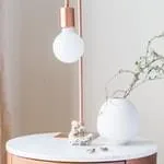 龙八体育