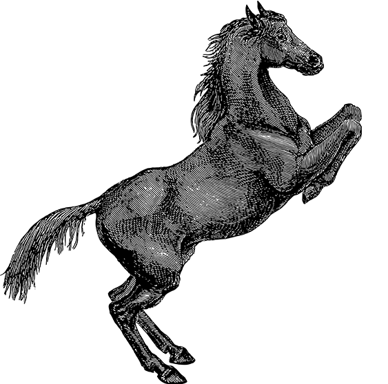 龙八体育